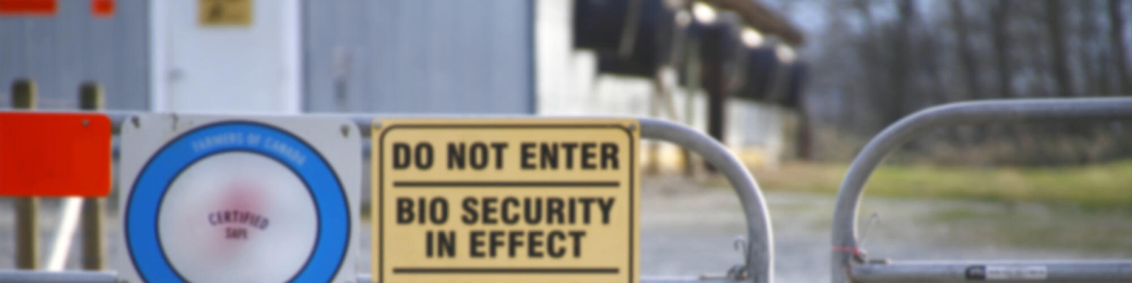 Farm gate closed with a posted sign reading DO NOT ENTER BIO SECURITY IN EFFECT